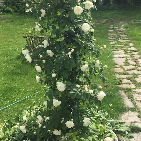 Charmantes Studio-apartment Im Shabby Chic Stil Mit Balkon Und Gartenblick - Ihr Perfektes Zuhause In * Graz