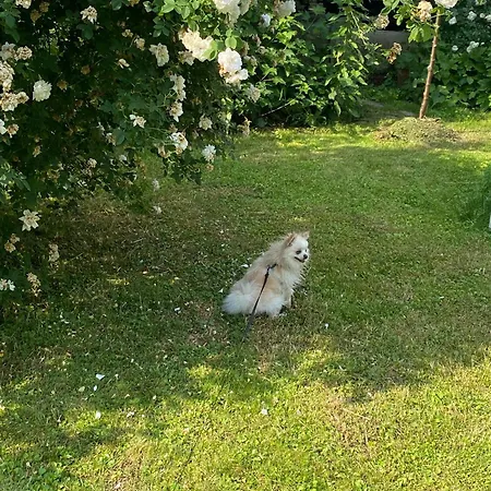 Apartamento Charmantes Studio-apartment Im Shabby Chic Stil Mit Balkon Und Gartenblick - Ihr Perfektes Zuhause In *