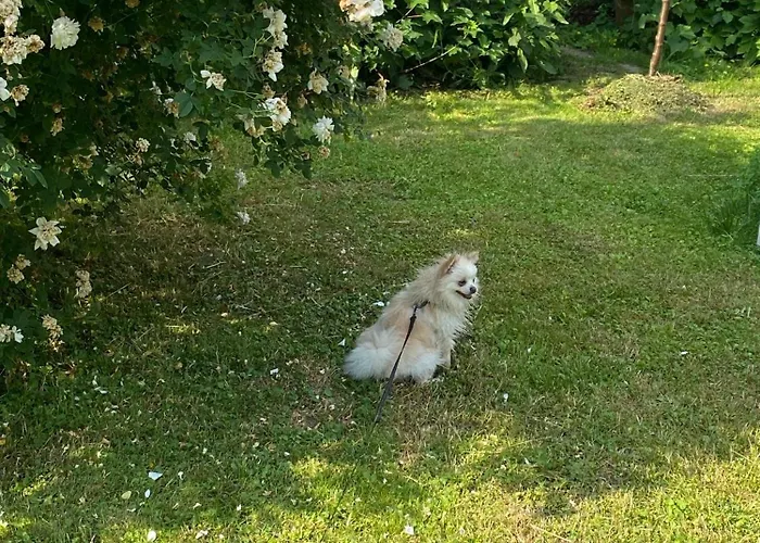 Lägenhet Charmantes Studio-apartment Im Shabby Chic Stil Mit Balkon Und Gartenblick - Ihr Perfektes Zuhause In *